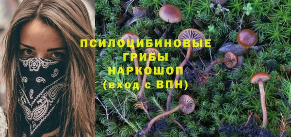 MDMA Карталы